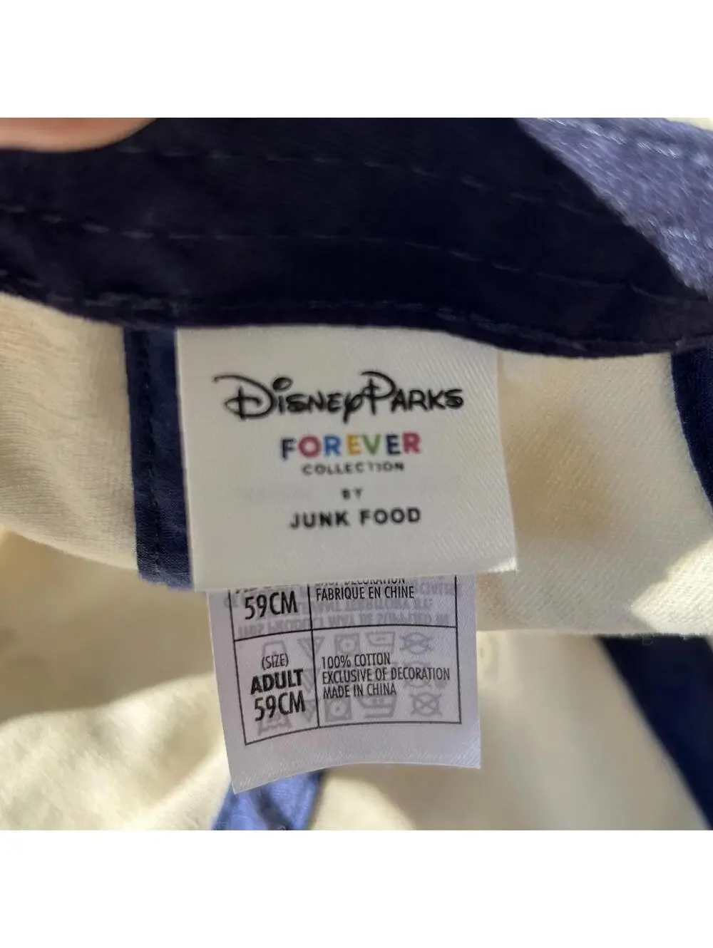 Disneyland Fantasyland Ball cap by Junk Food